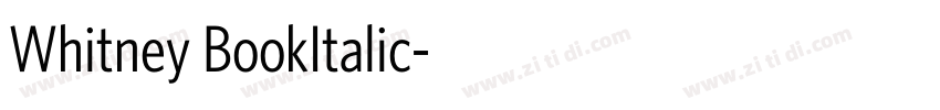 Whitney BookItalic字体转换
